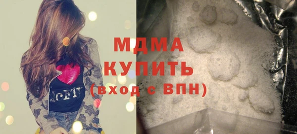 индика Бородино
