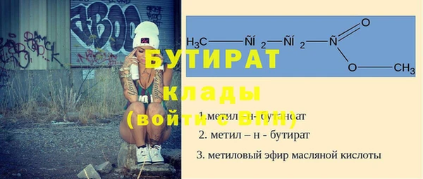 индика Бородино