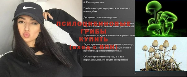индика Бородино