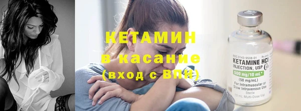 индика Бородино