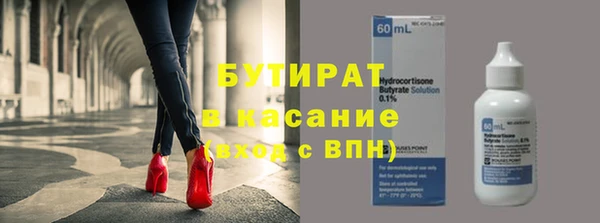 индика Бородино