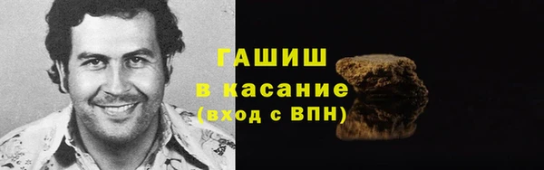 индика Бородино