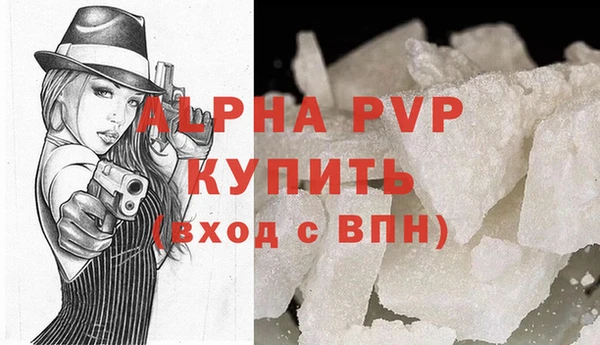 индика Бородино