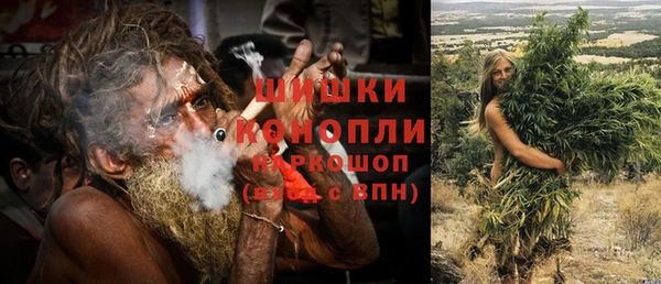 гидра Бронницы