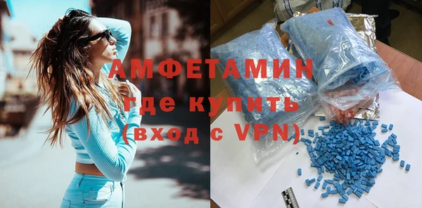 индика Бородино