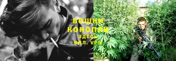 индика Бородино