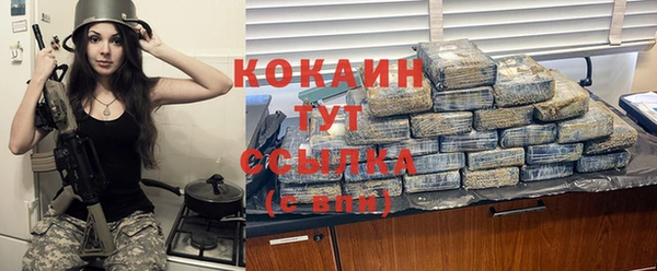 индика Бородино