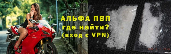 гидра Бронницы
