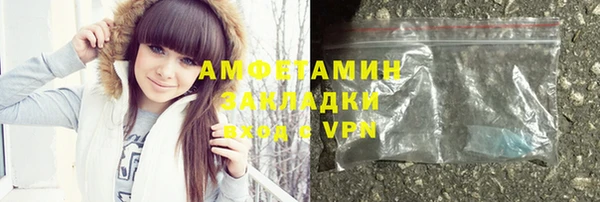 индика Бородино