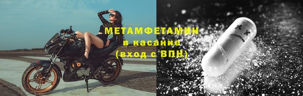 индика Бородино
