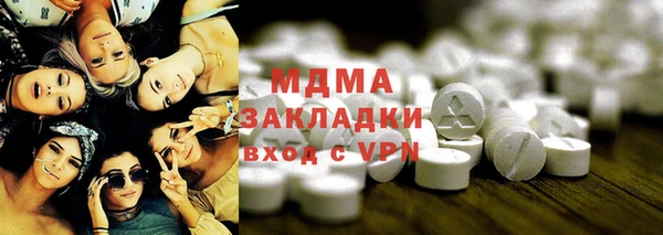 индика Бородино