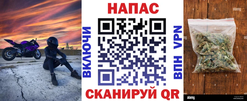 магазин продажи   Киселёвск  Каннабис Amnesia 